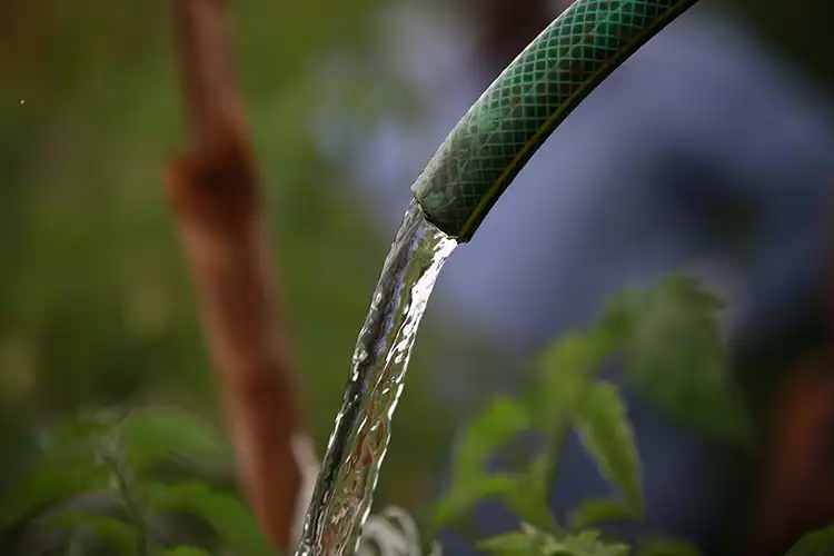 CCBA Water Stewardship Garden Hose